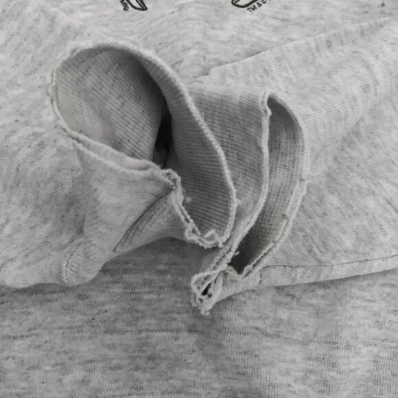 Vintage 1994 TAZ Looney Tunes on Tultex Distressed Sweatshirt - Picture 6 of 6